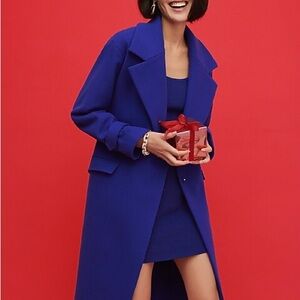 Elegant Blue Coat and Dress Set